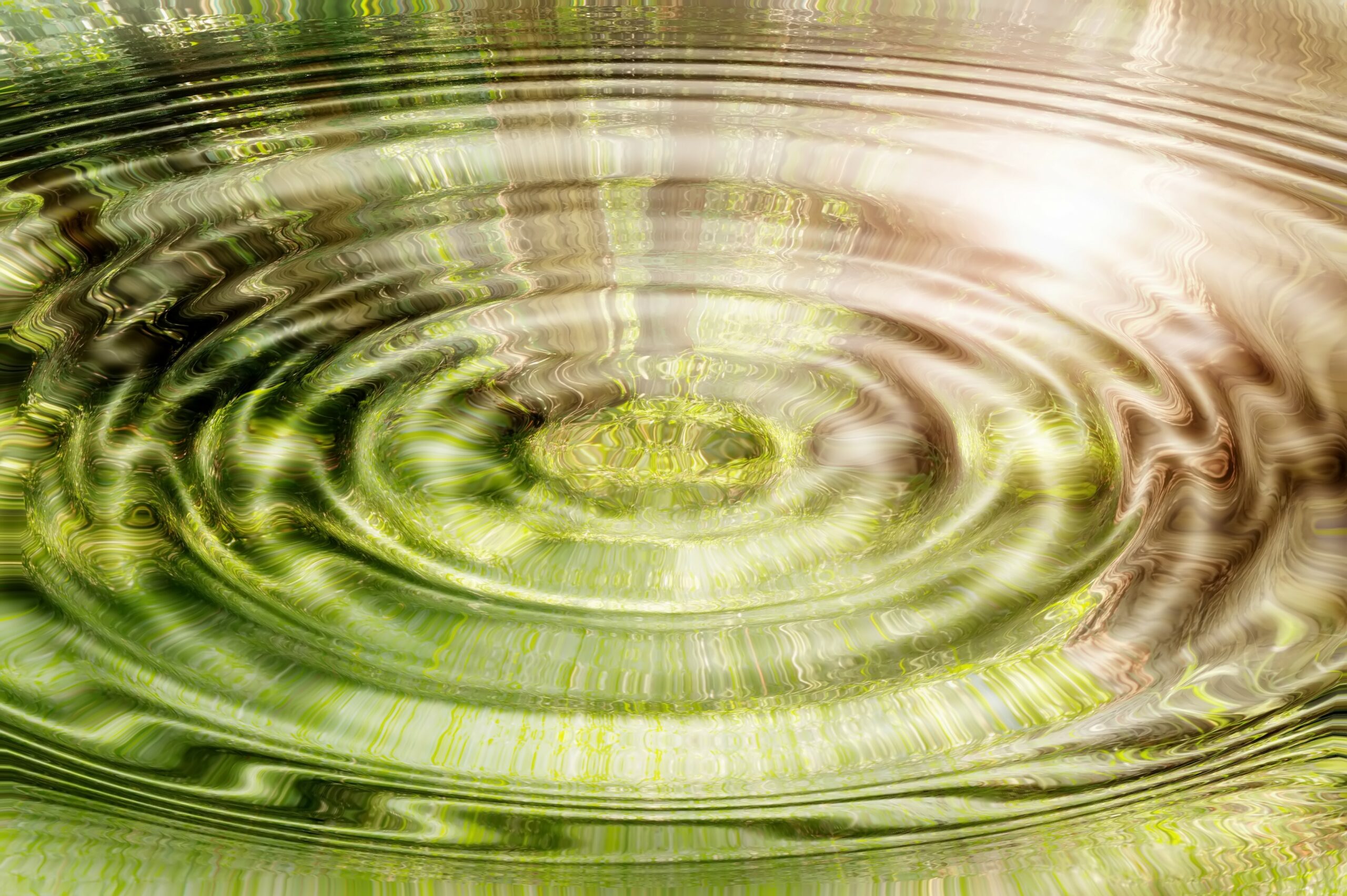 Reflection of forest and sun in water